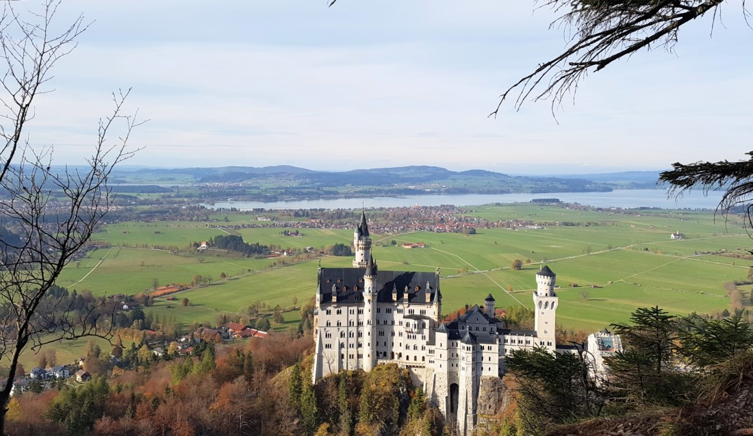 PicsArt_10-25-11.22.11